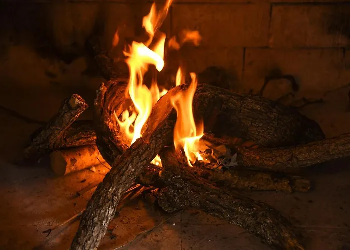 Magnolia By * Спліт